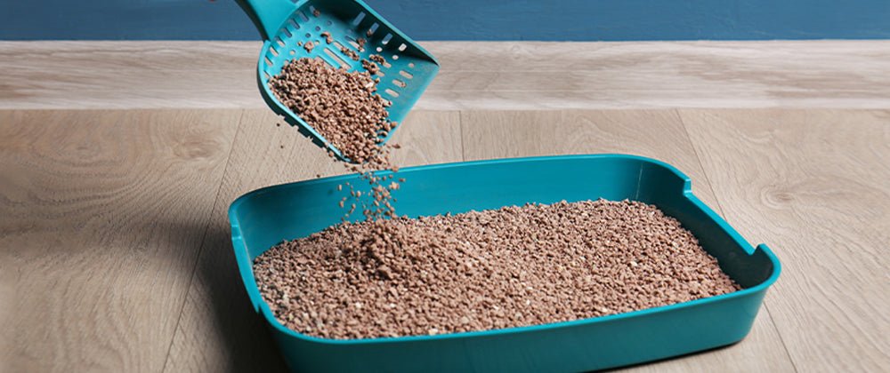How Much Cat Litter Should I Use: Expert Tips for Perfect Balance