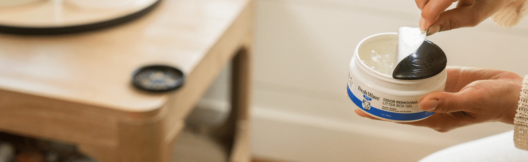 How to Get Rid of Litter Box Odors