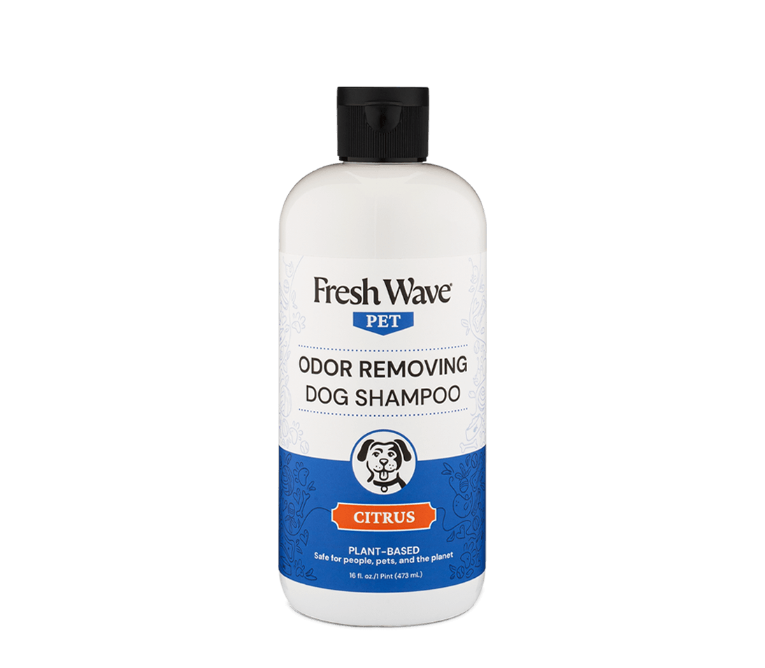 Best dog shampoo for odor online