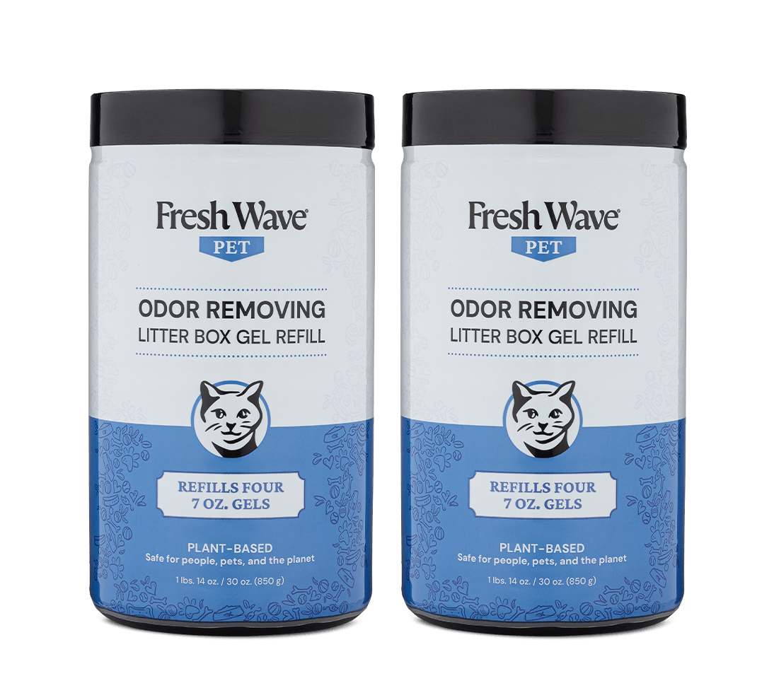 Bad Smell Litter Box Still Smells After Cleaning Litter Box Odor