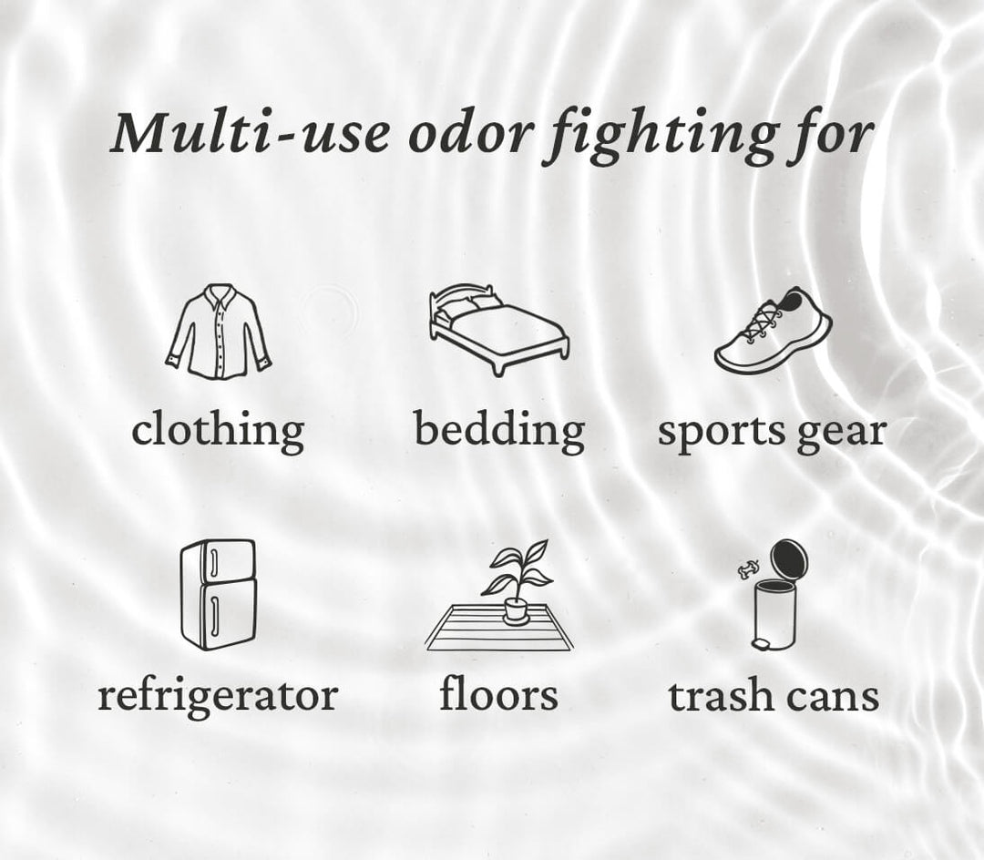 Tips for Washing Bedding & Blankets That Smell Like Dog