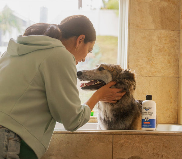 Tips for Washing Bedding & Blankets That Smell Like Dog